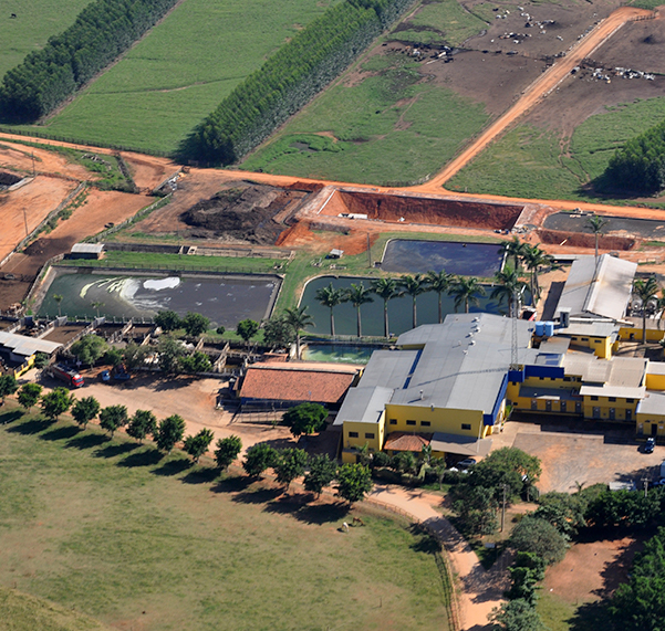 A Fazenda das Palmeiras e o Frigorífico CowPig